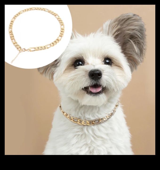 Canine Charm A Collection of Stylish and Functional Dog Collar Accessories 1