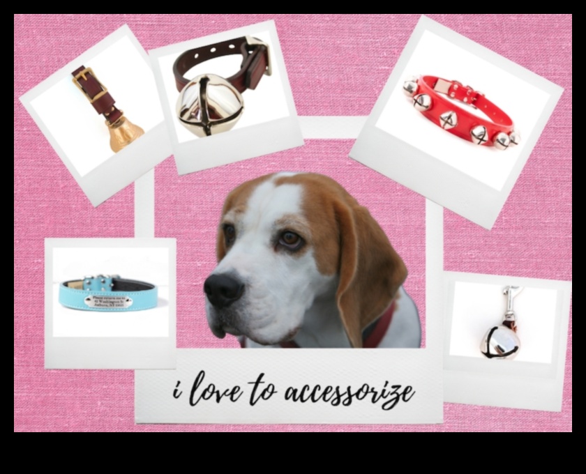 Canine Charm: Charming Accessories for Your Dog's Collar
