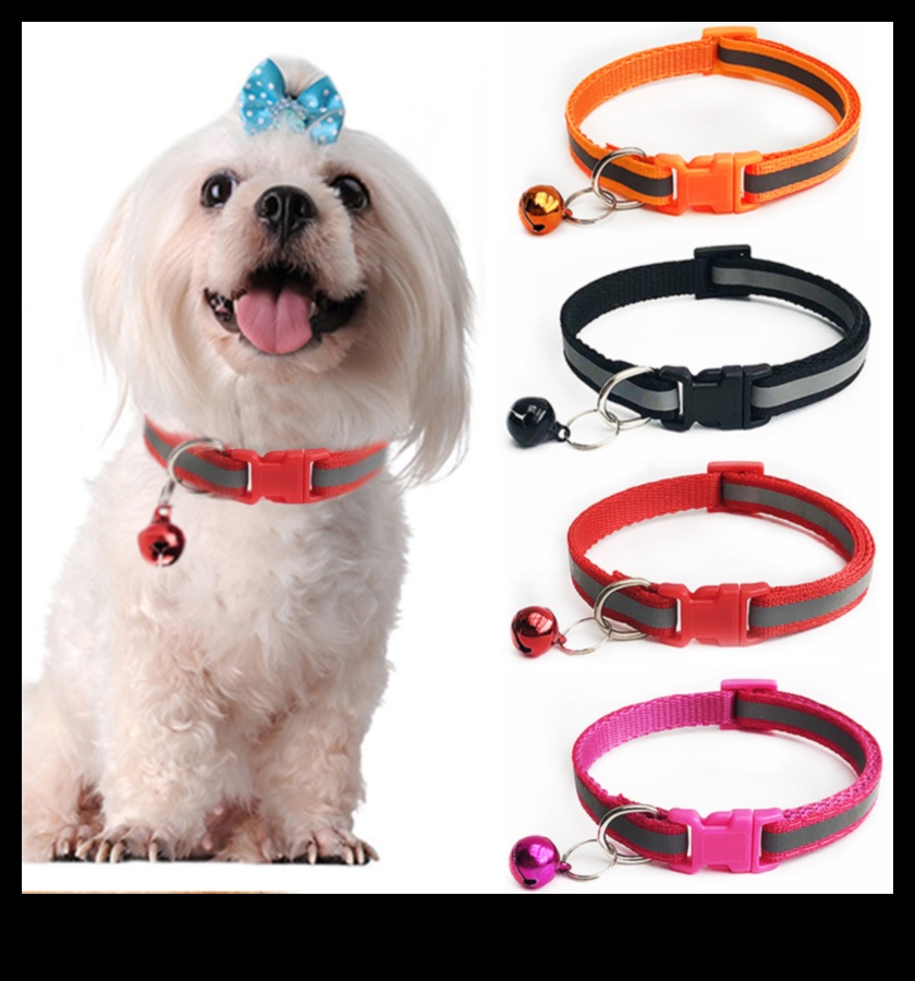 Canine Charm: Charming Accessories for Your Dog's Collar