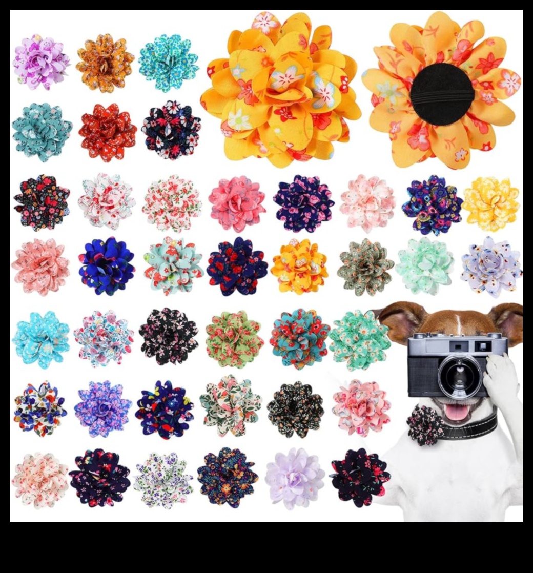 Canine Charm Collection: Growing Your Dog's Chic Collar Assortment