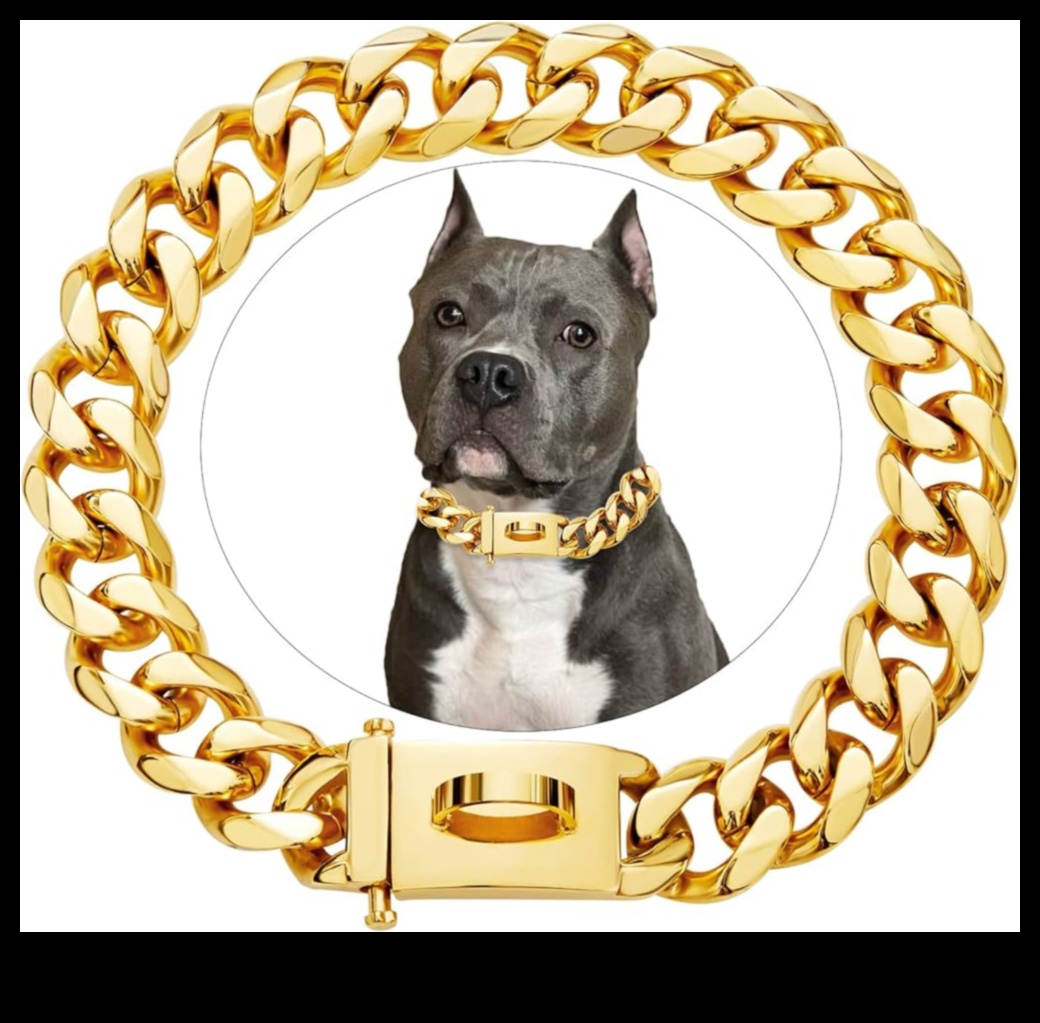 Canine Charm Collection: Growing Your Dog's Chic Collar Assortment