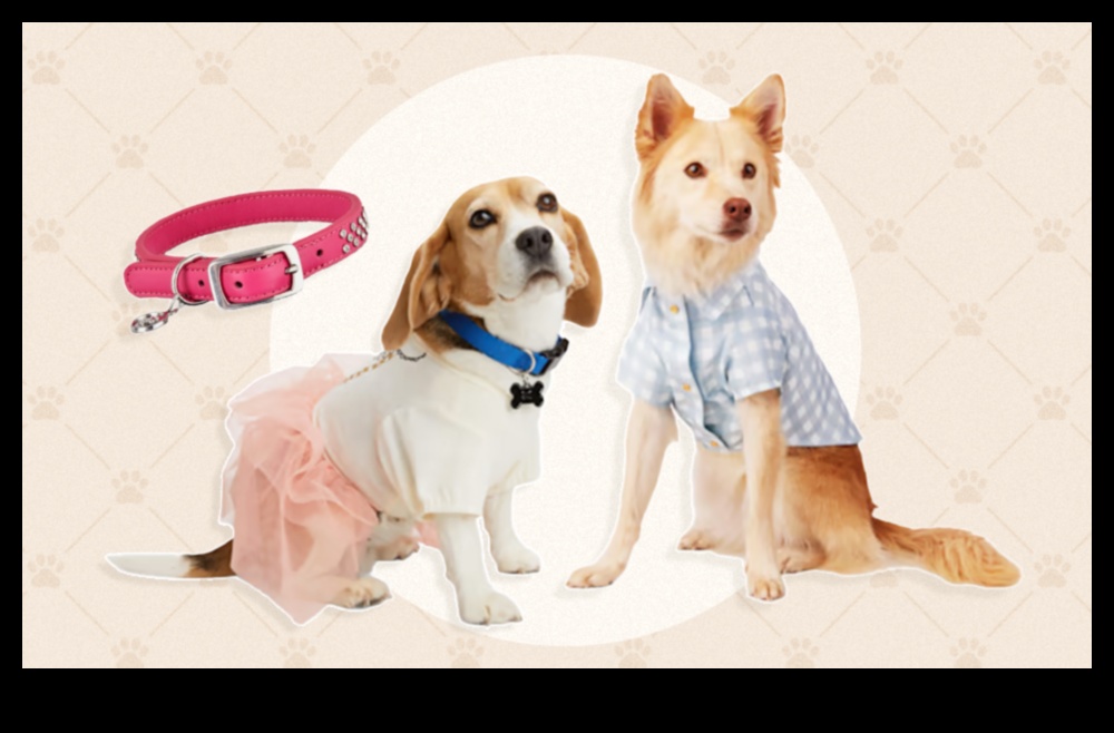 Canine Chic: Accessorizing Your Dog with the Latest Trends