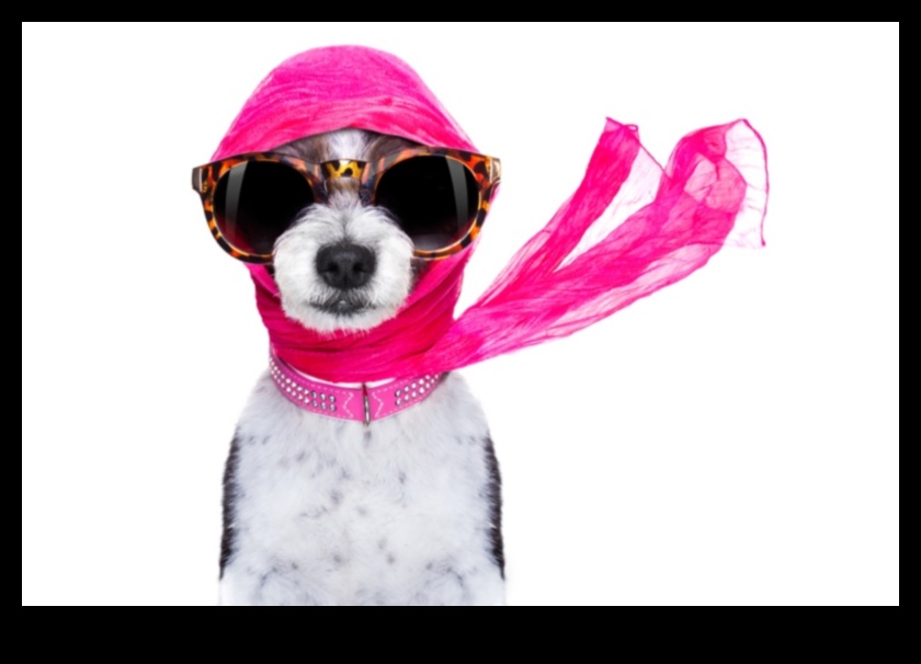 Canine Chic: Accessorizing Your Dog with the Latest Trends