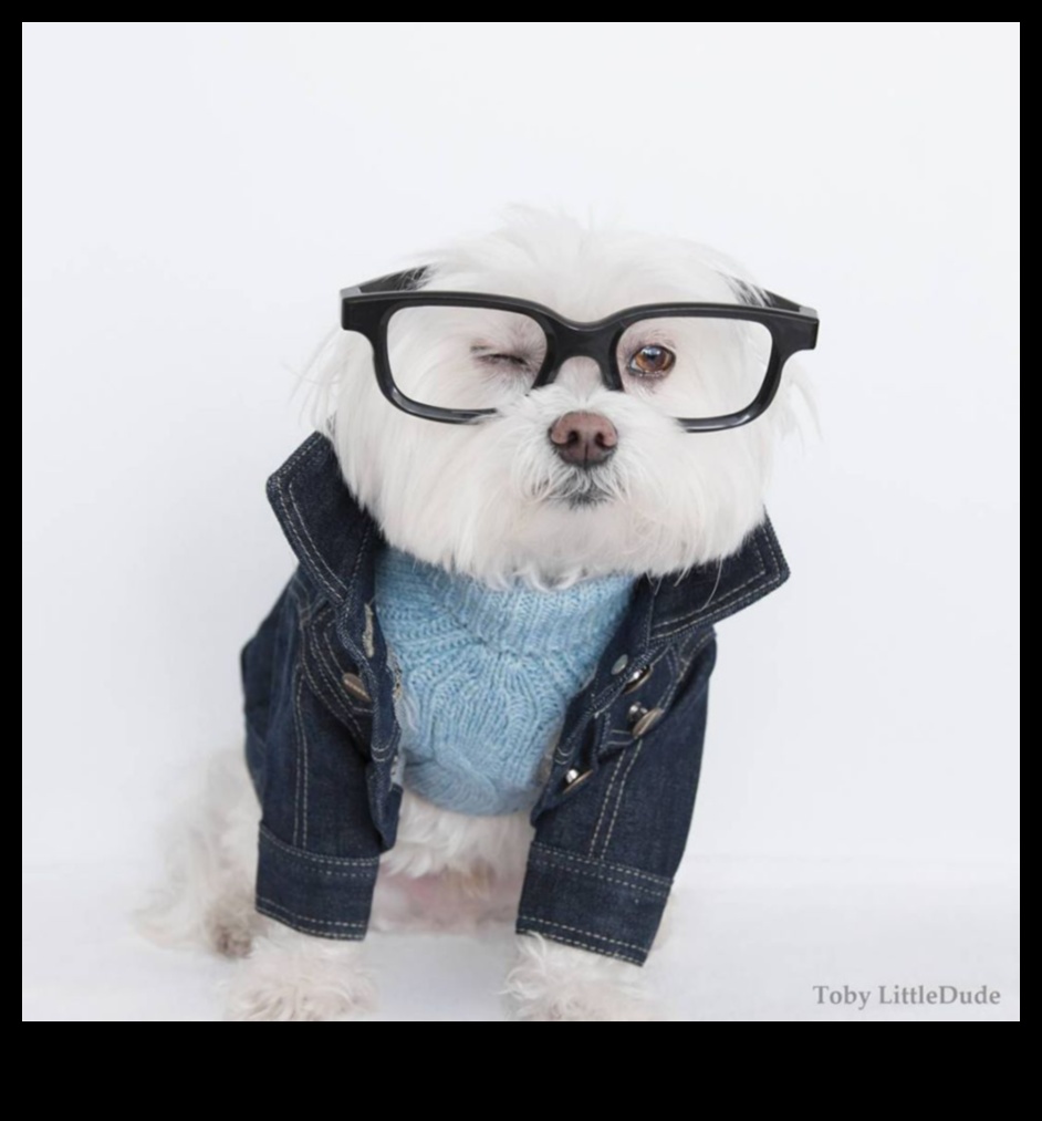 Canine Chic: Accessorizing Your Dog with the Latest Trends