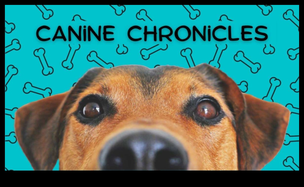 Canine Chronicles: Exploring Different Dog Breeds