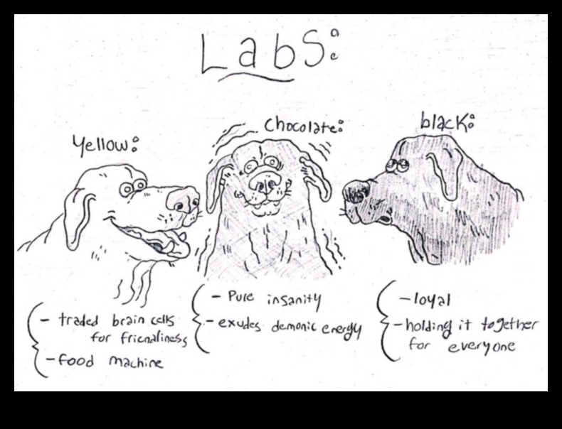 Canine Chronicles: Exploring Different Dog Breeds