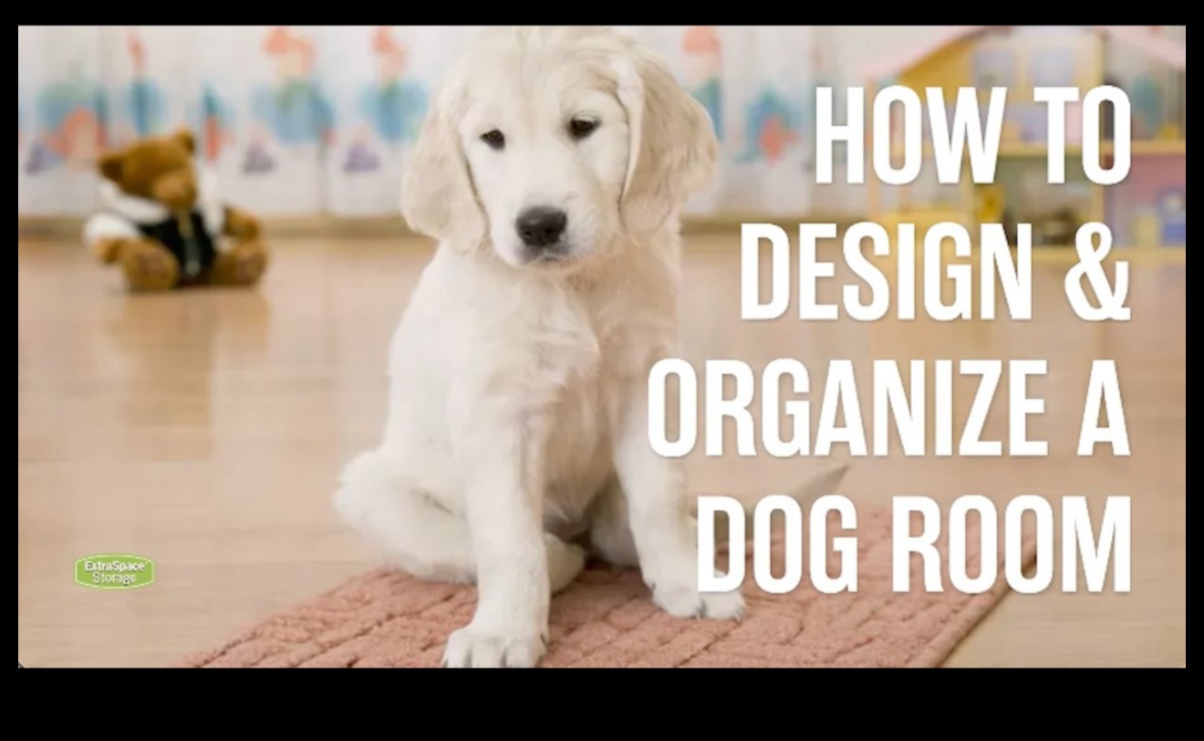 Canine Coloring Corner: Safe Art Supplies for Creative Dogs