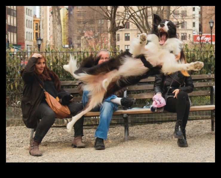 Canine Comedians: Hilarious Moments Caught on Camera