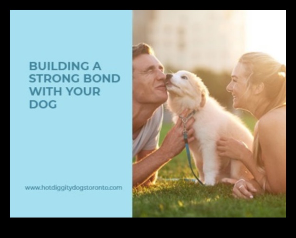 Canine Companionship: Building a Strong Bond with Your Dog