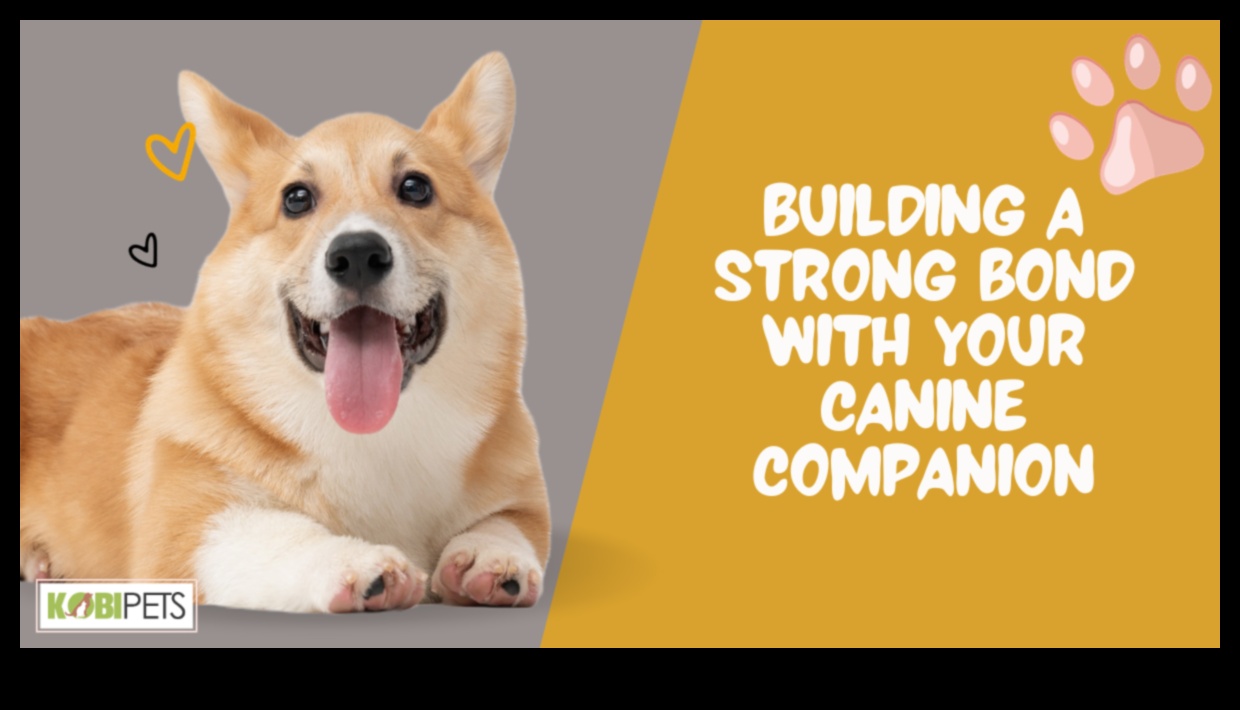 Canine Companionship: Building a Strong Bond with Your Dog