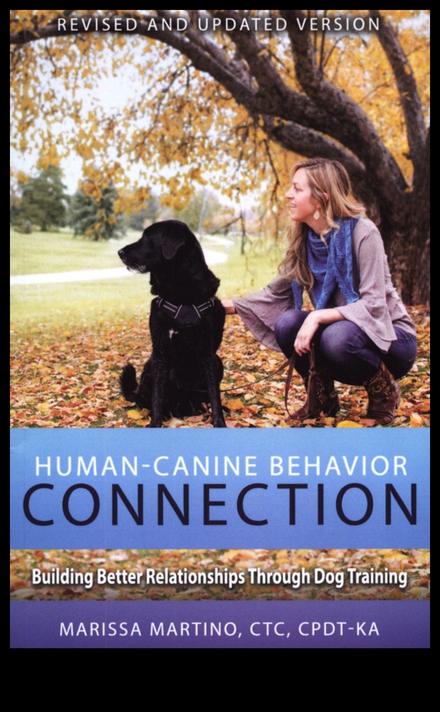 Canine Connections: Building Positive Relationships with Other Dogs