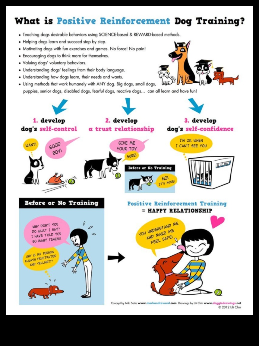 Canine Connections: Building Positive Relationships with Other Dogs