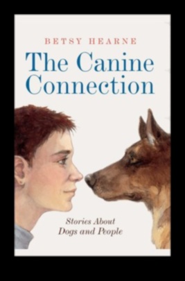 Canine Connections: Building Positive Relationships with Other Dogs