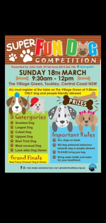 Canine Contests: Participating in Fun Dog Competitions
