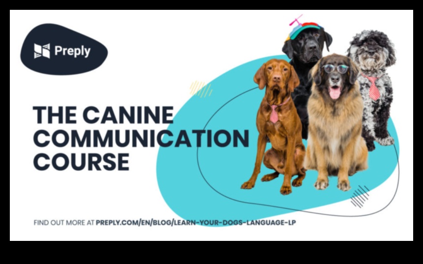 Canine Conversations: Understanding Dog Vocalizations