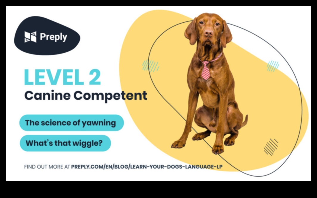 Canine Conversations: Understanding Dog Vocalizations