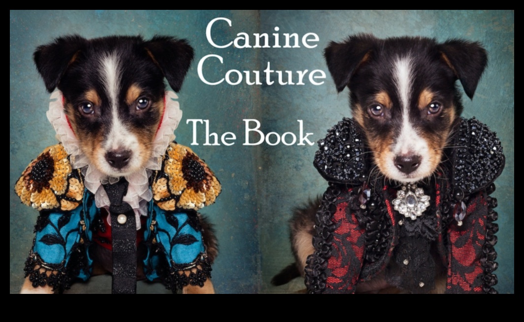 Canine Couture: Exploring the World of Fashionable Dog Accessories