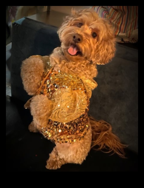 Canine Couture: Exploring the World of Fashionable Dog Accessories