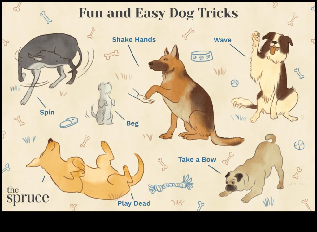 Canine Creativity Teaching Your Dog Fun Tricks and Commands 1