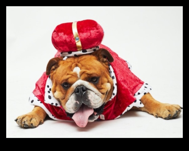 Canine Crown Jewels: Elegant Accessories Fit for Royalty