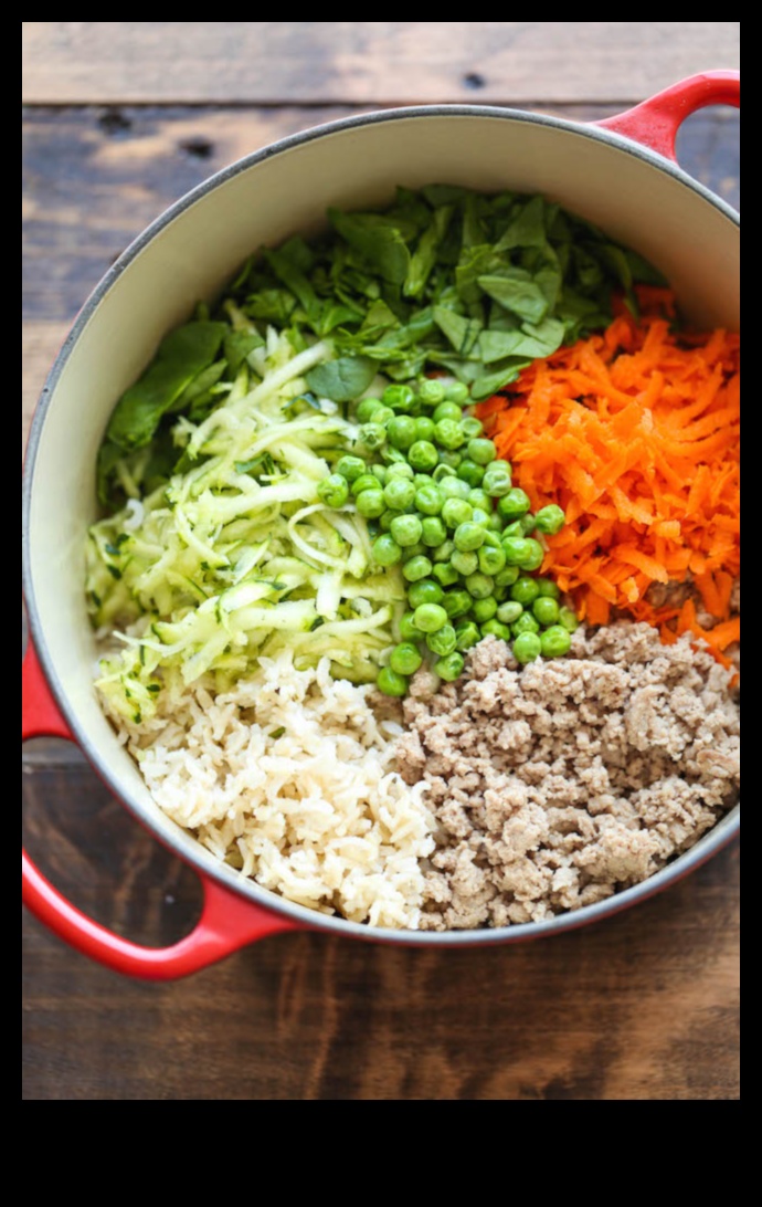 Canine Cuisine Quest: Exploring Homemade Dog Recipes