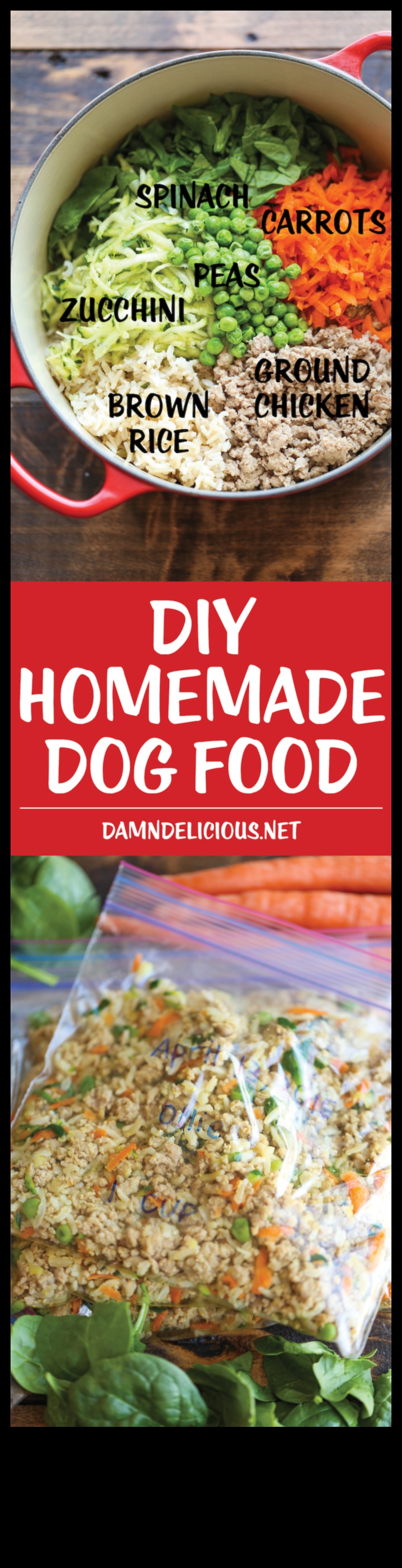 Canine Cuisine Quest: Exploring Homemade Dog Recipes