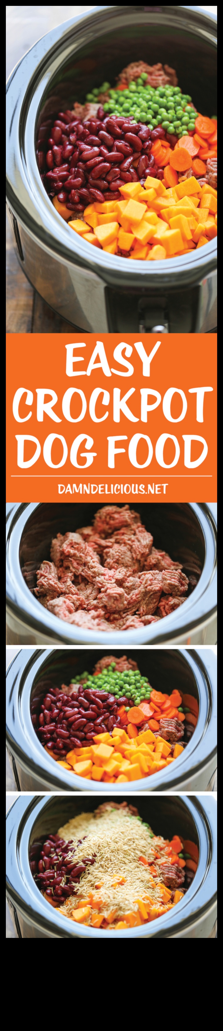 Canine Cuisine Quest: Exploring Homemade Dog Recipes