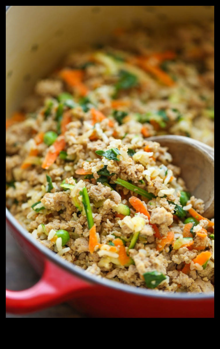 Canine Cuisine Quest: Exploring Homemade Dog Recipes