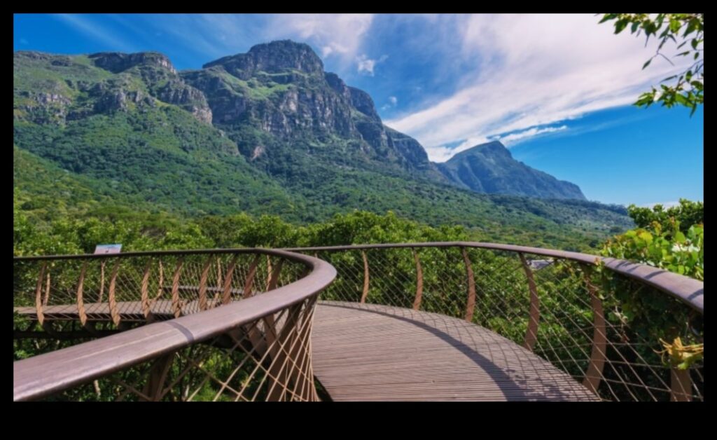 Canopy Chronicles A Journey to the Treetops of Outdoor Bliss 1