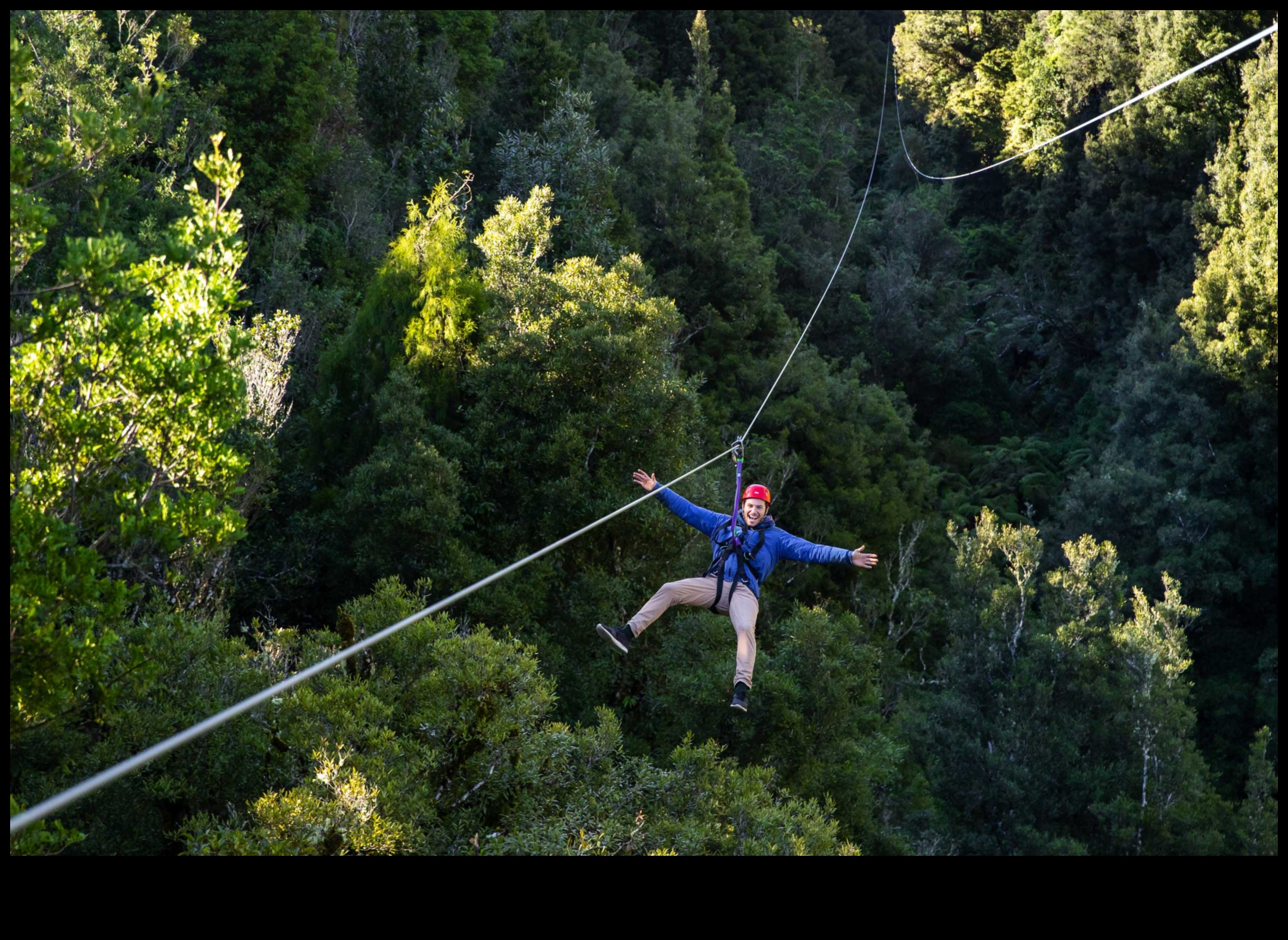Canopy Chronicles: Tales from the Treetops of Outdoor Bliss