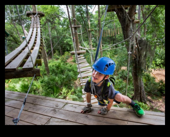 Canopy Chronicles: Tales from the Treetops of Outdoor Bliss