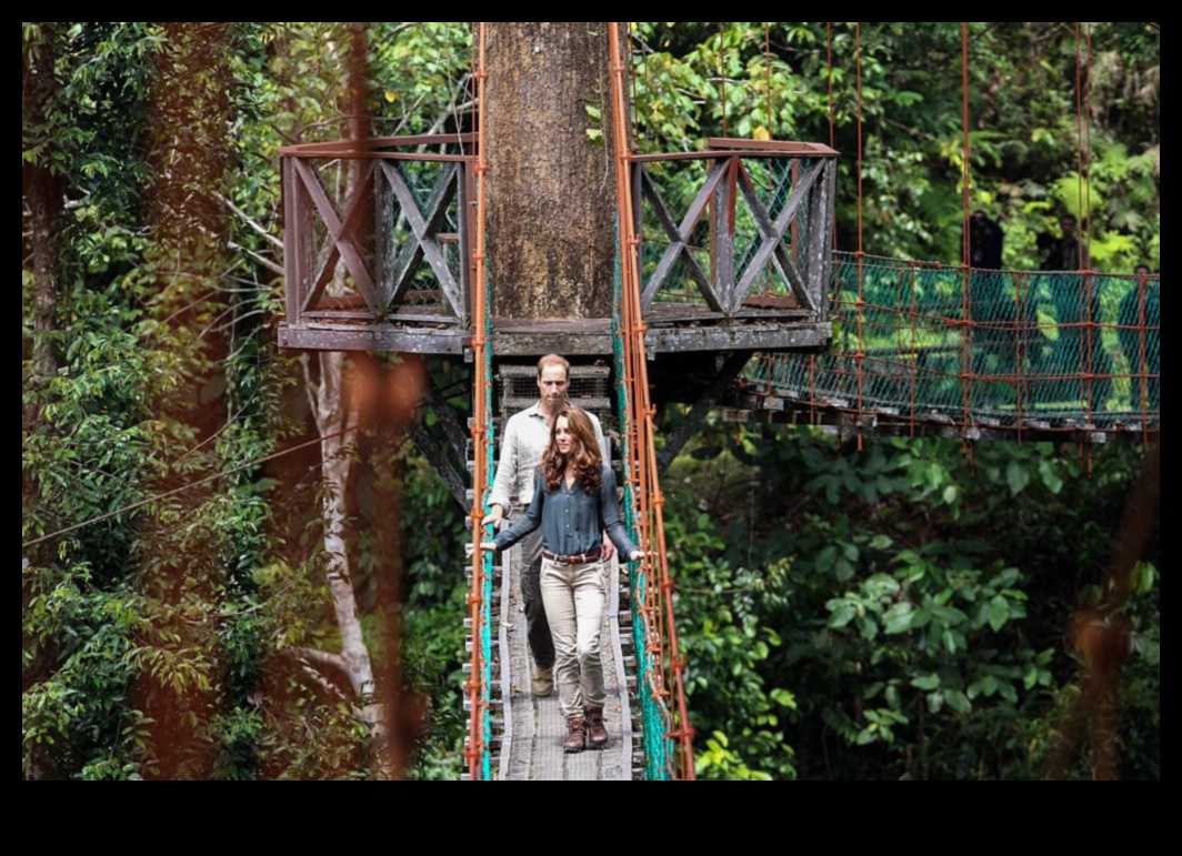 Canopy Chronicles: Tales from the Treetops of Outdoor Bliss