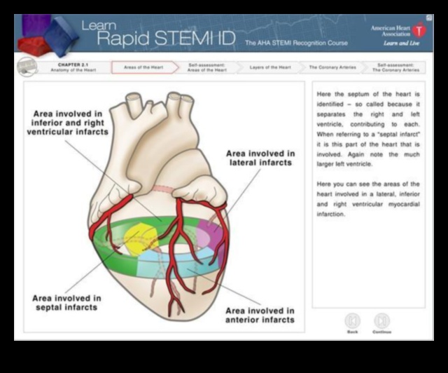Cardiovascular Elevation A Guide to a Stronger Heart 1