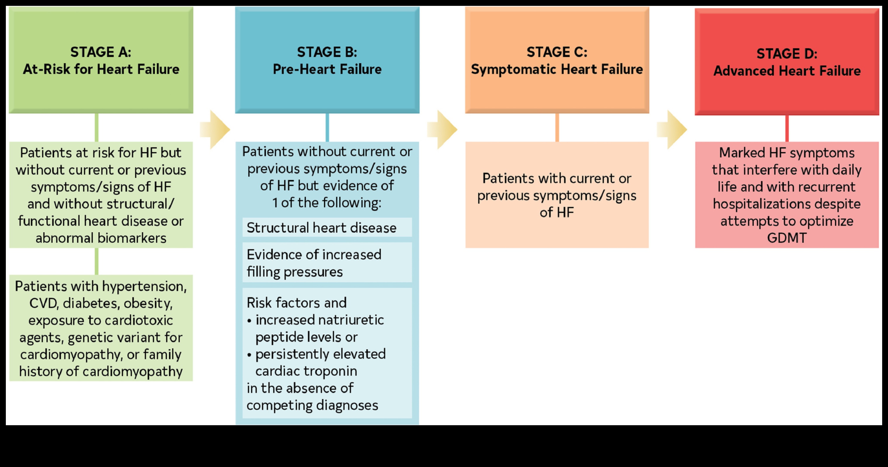 Cardiovascular Elevation: Rise to the Challenge of a Strong Heart