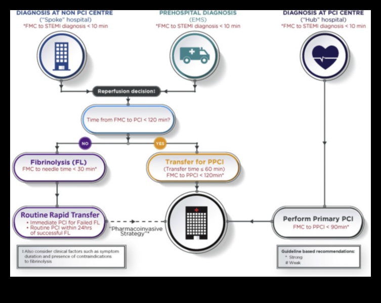 Cardiovascular Elevation: Rise to the Challenge of a Strong Heart