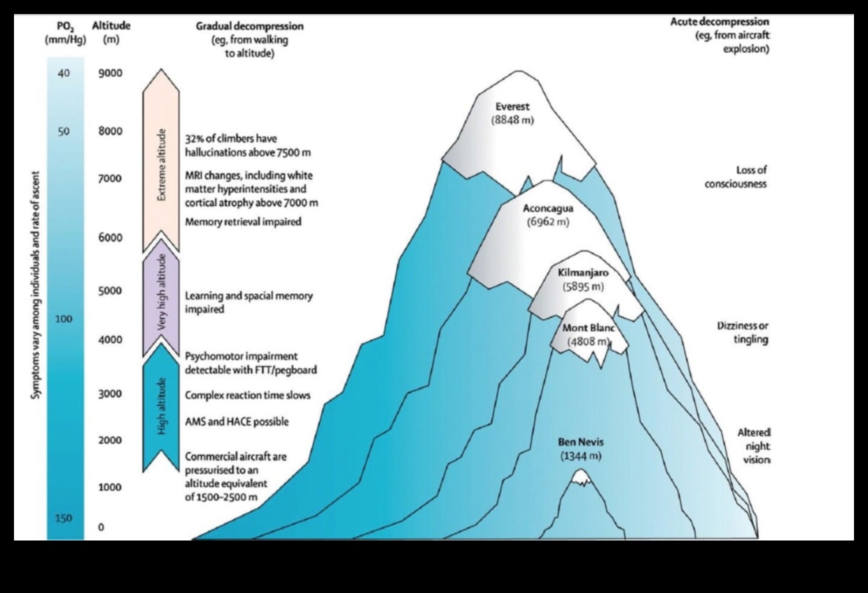 Cardiovascular Elevation Soaring to New Heights of Health 1 Cardiovascular Elevation: Soaring to New Heights of Health