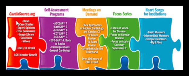 Cardiovascular Melodies: Creating Harmony in Heart Health