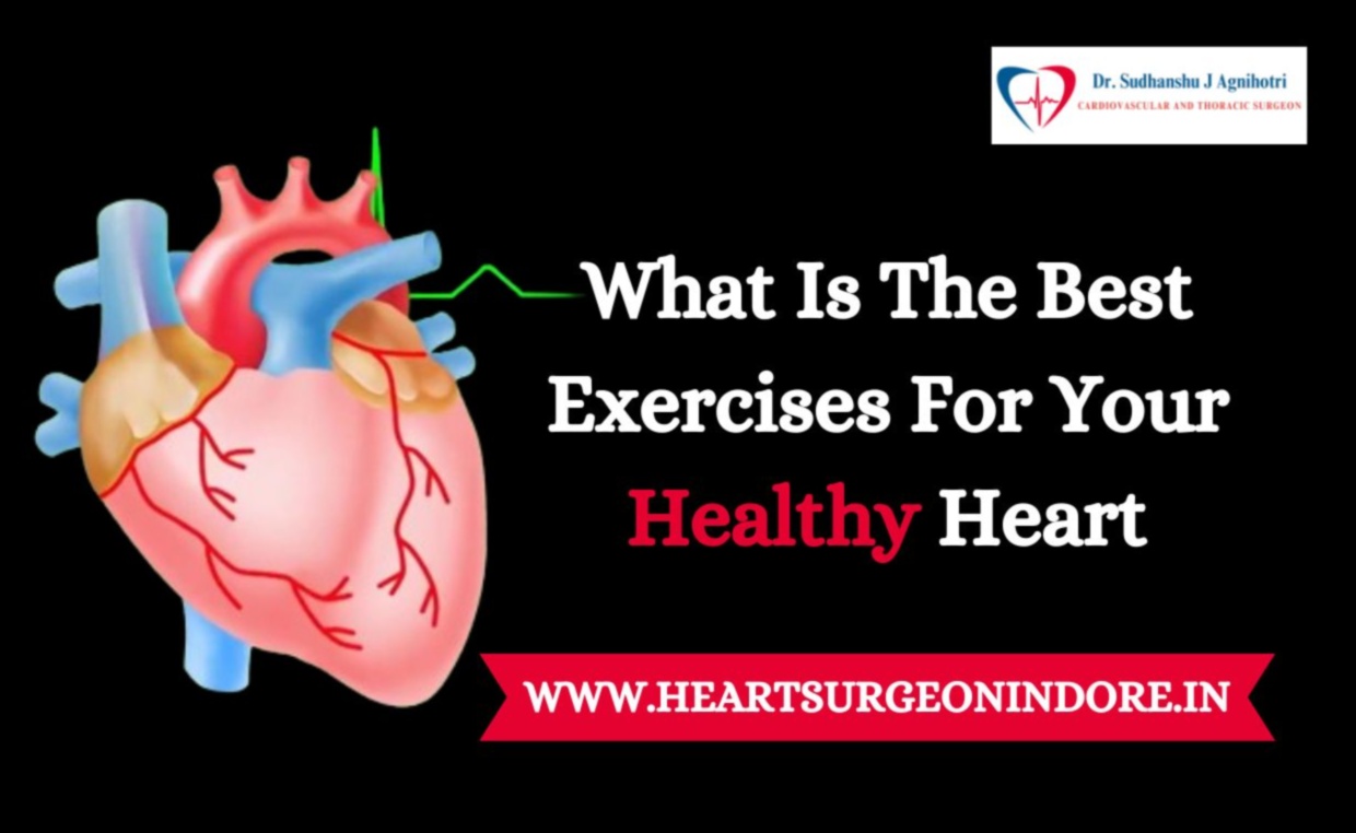 Cardiovascular Symphony: Crafting a Healthier You Through Exercise