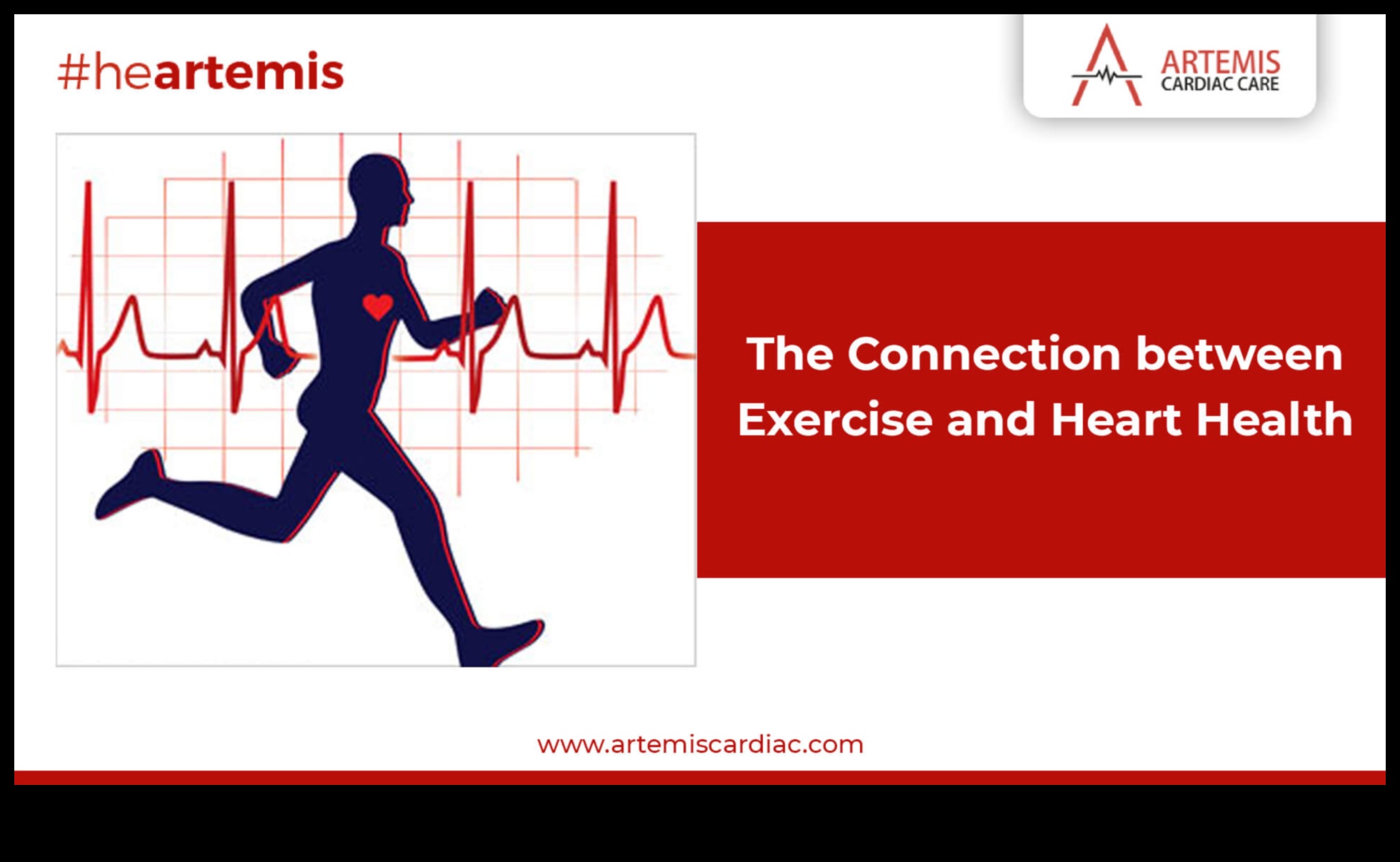 Cardiovascular Symphony: Crafting a Healthier You Through Exercise