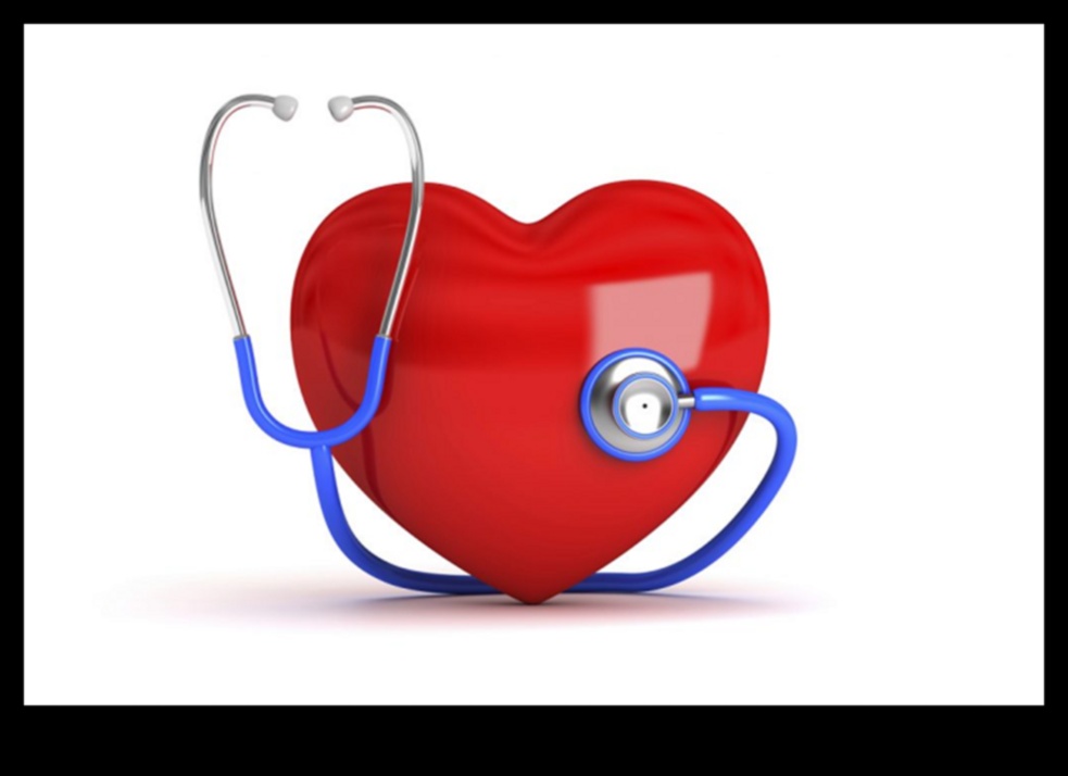 Cardiovascular Symphony: Crafting a Healthier You Through Exercise