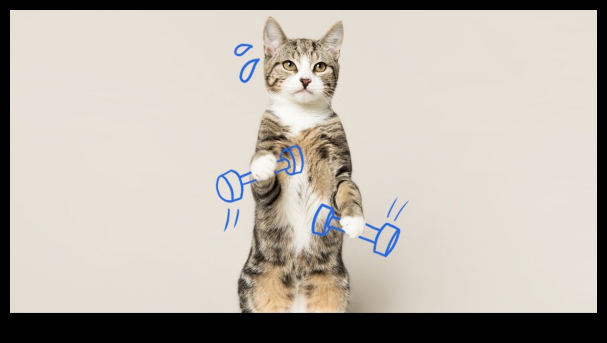 Cat Calisthenics: Fun Exercises to Keep Your Cat Agile and Happy
