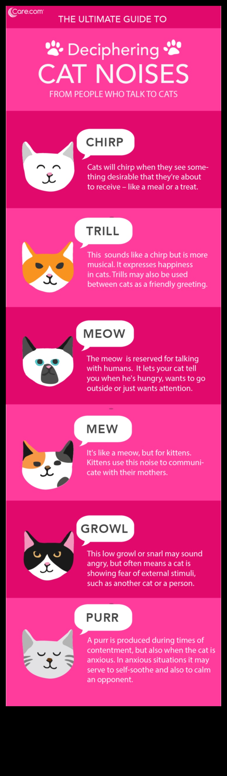 Cat Calls: Understanding the Language of Cat Sounds