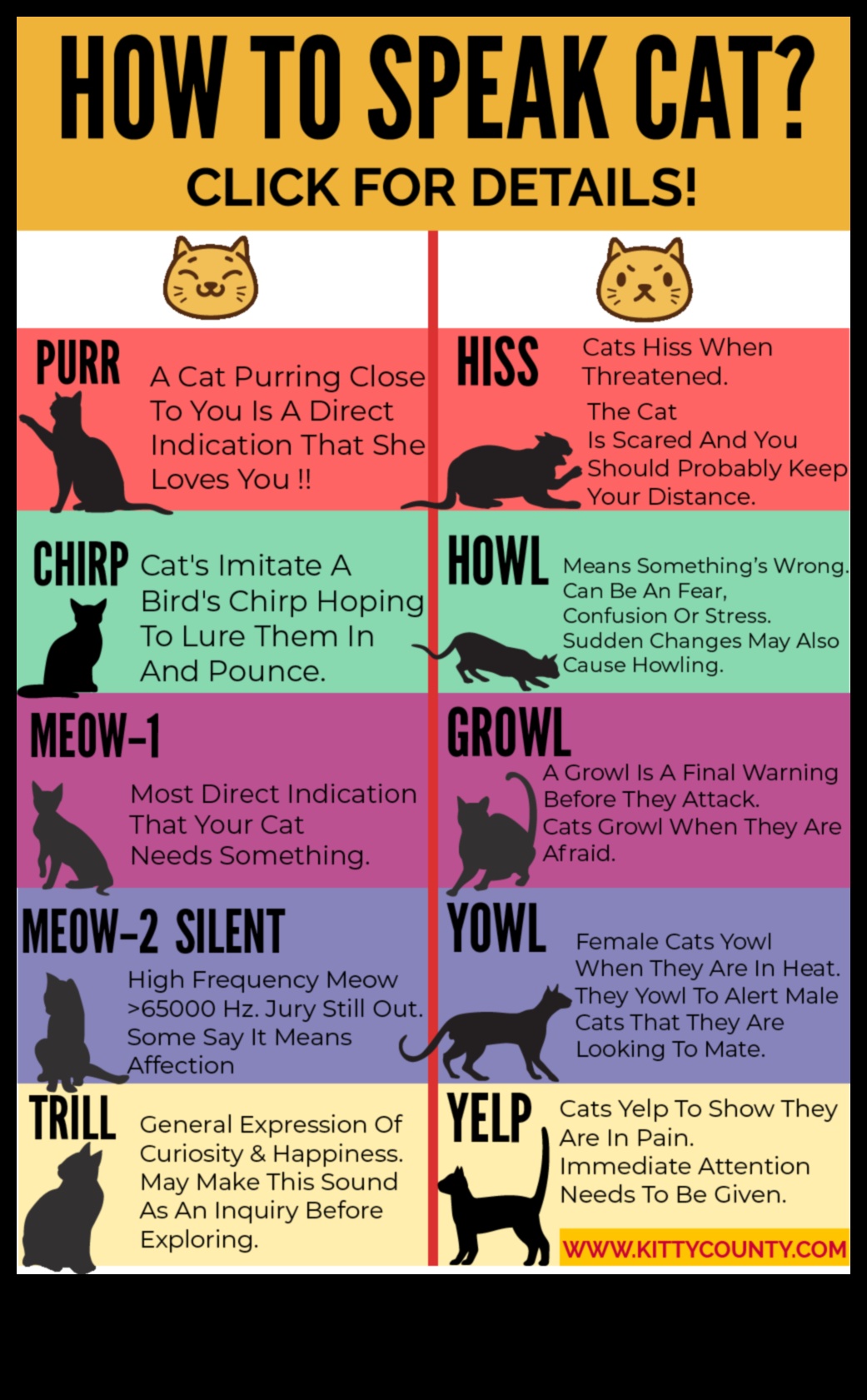 Cat Calls: Understanding the Language of Cat Sounds