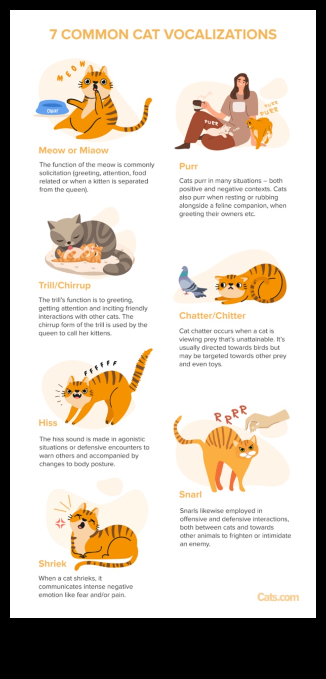 Cat Calls: Understanding the Language of Cat Sounds