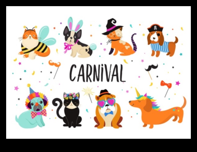 Cat Carnival DIY: Planning a Paw-some Event for Your Cat