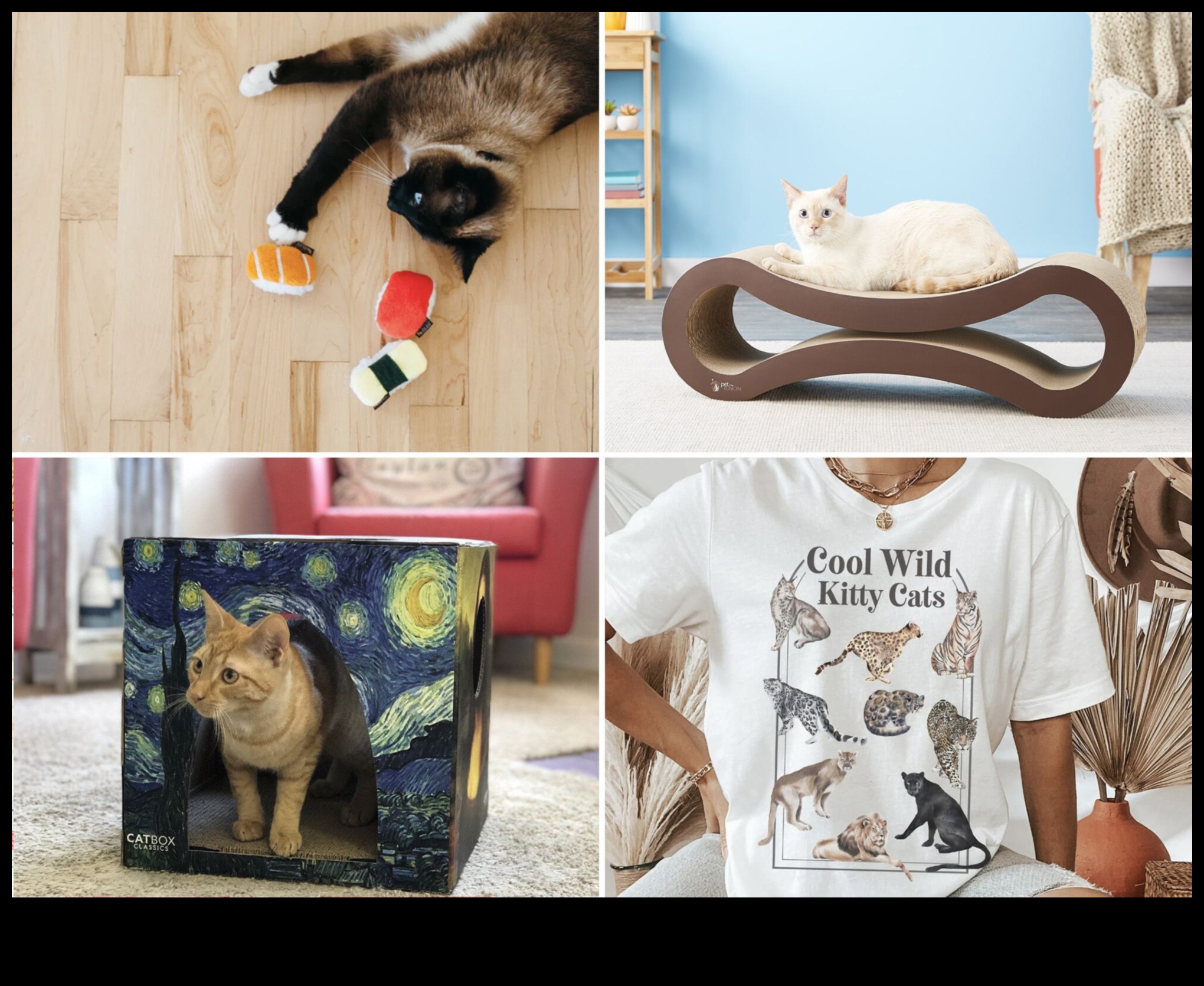 Cat Carnival DIY: Planning a Paw-some Event for Your Cat