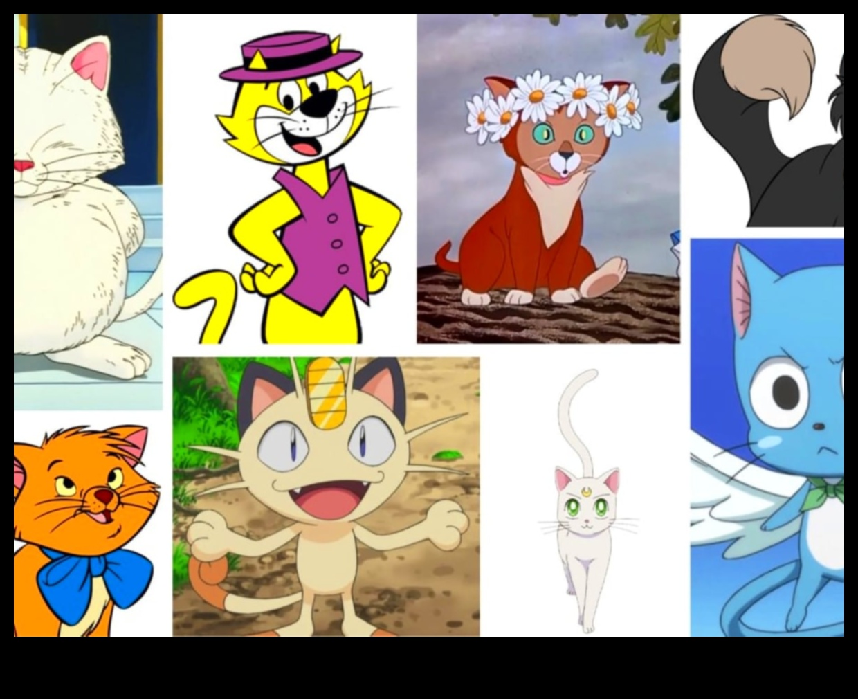 Cat Cartoons: Entertaining Animated Tales Starring Cats
