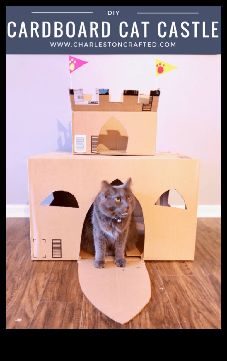 Cat Castles: DIY Furniture Ideas for Feline Royalty