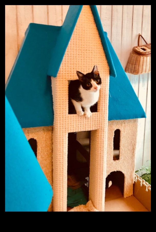 Cat Castles: DIY Projects for Crafting Stylish Cat Furniture