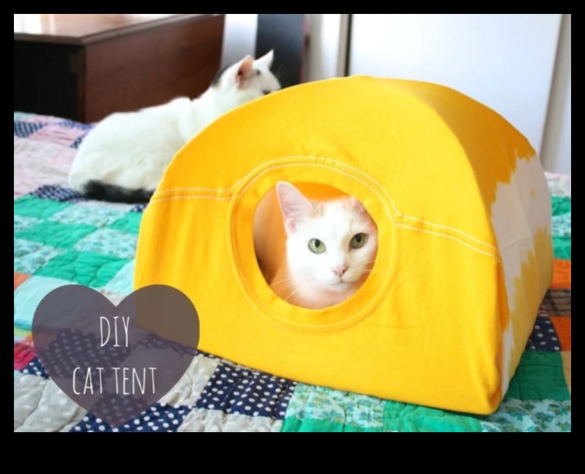 Cat Caves DIY Projects for Creating Cozy Hideaways 2 Cat Caves: DIY Projects for Creating Cozy Hideaways